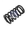 SCANI 1352470 Valve Spring